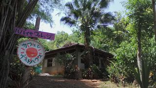 パパイヤヴィレッジ