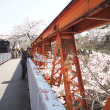 桜と鉄橋