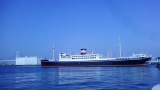 立派な姿です。