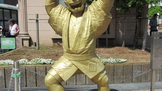 街のあちらこちらで見られます