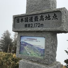 まさにこれ目当ての来訪客も