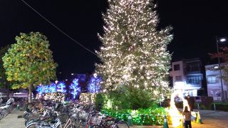 冬のイルミネーションもたいへんきれい