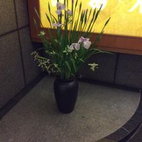 菖蒲の花が見事に生けてありました。