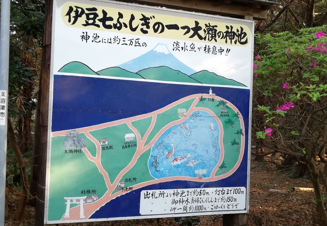 沼津のおすすめ観光スポット クチコミ人気ランキングtop フォートラベル 静岡県 沼津のおすすめ観光スポット クチコミ人気ランキングtop フォートラベル 静岡県