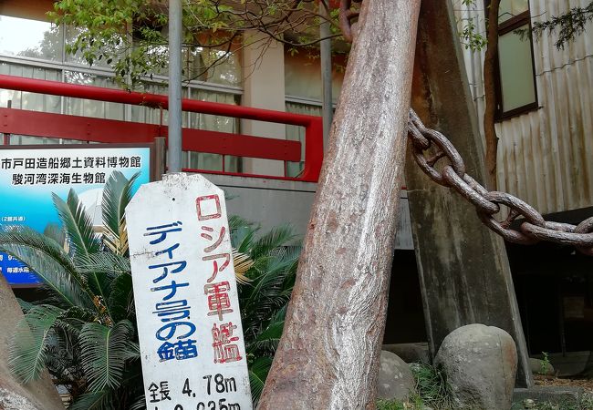 駿河湾深海生物館 クチコミ アクセス 営業時間 戸田 フォートラベル 駿河湾深海生物館 クチコミ アクセス 営業時間 戸田 フォートラベル
