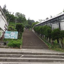 右手がスロープコンベア、屋根付きです