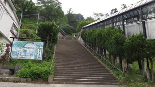 大人￥250は高い！