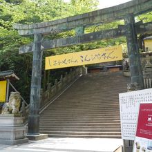 ずっしりした質感があります。