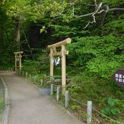 6つの祠と鳥居がある小道