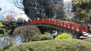 赤で目立ちます