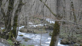 繁忙期の渋滞に注意