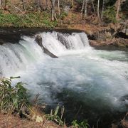 この時期を狙って行きましょう。