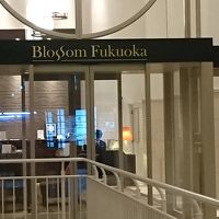 高級感があるエントランス