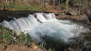 この時期を狙って行きましょう。