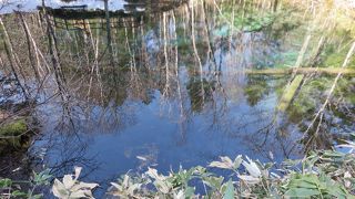 神秘的な池です。