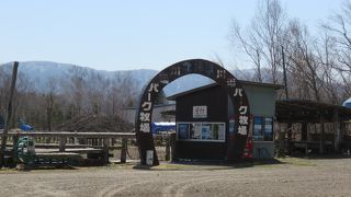 子供と馬を眺めに！