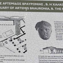 カルコテケの説明