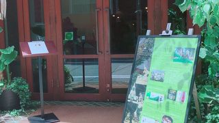 タイ料理食べまくり