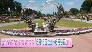 可憐なバラが咲き乱れて甘い香りで迎えてくれる公園