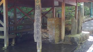 確かに温泉の飲泉