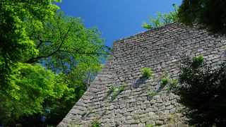 見事な石垣、現存天守