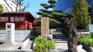 駅から近いが植物が豊かに生い茂る