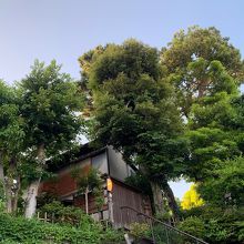 駐車場側から見た建物です。