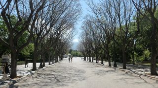 アテネ中心部にある大きな公園、ザッピオン公園