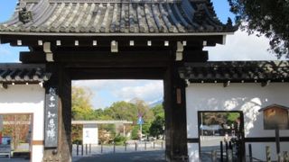 円山公園からの入口です