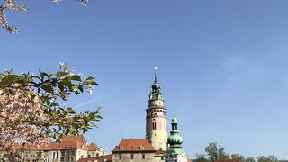 地域博物館の横にある見晴らしの良い庭園。