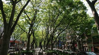 イベントがない時期にふらっと立ち寄るのも結構好きです