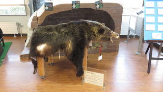 フレぺの滝のスタート地点！