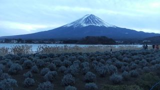 富士山のビュースポットとして有名