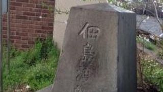 大都会の真ん中に渡船があった事に驚き