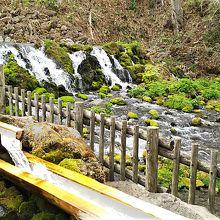 羊蹄山の湧き水