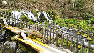 ふきだし公園内に沸く、京極の名水。