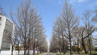 何も無かったけど、