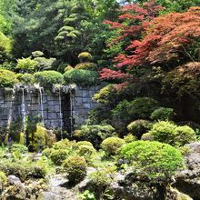 ロビー脇の庭園