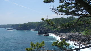 松と岩の迫力がすごい