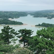 こんな景色が広がっています