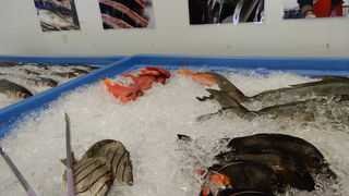 別段珍しい物は無かった。