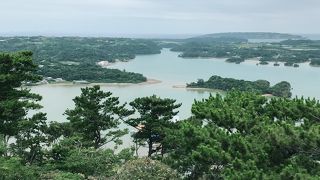 昼頃がおすすめ