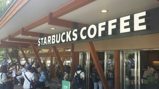 平日でも混んでいる