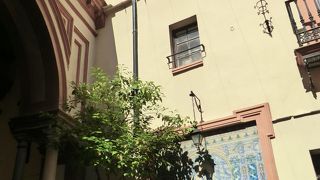 気を付けて散策しましょう。