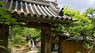 茶菓子代込み拝観料800円