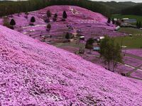 ひがしもこと芝桜公園キャンプ場