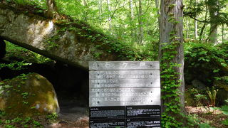 どっしりと存在感のある石