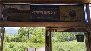 ビジターセンターの裏手