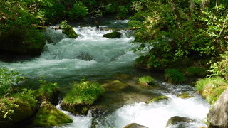 美しい渓流美を作り出す岩