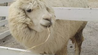 GWはオフシーズン